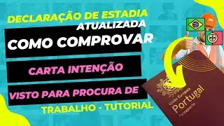 Declaração VFS 200% Liberado - TUTORIAL DO ZERO - Visto de Procura trabalho e a estadia #portugal