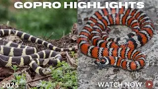 2025 Gopro Highlights!