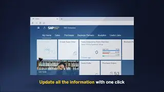 SAP Business One Web Client &ndash; Overview