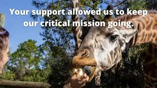 A look back at 2021 for Brevard Zoo