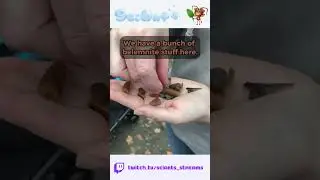 Fossil Hunting in New Jersey?!