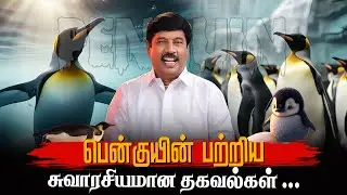 Facts You Dont know About Penguins | life of #penguin | #tamil #australia G Gnanasambandan