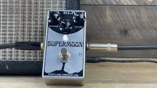 Mr. Black Supermoon Chrome Reverberator - Three Chords and a Champ