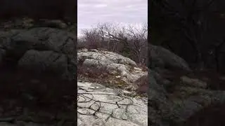 View from Turtleback, Castle in the Clouds Conservation Area