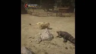 Lion Games Animal Simulator 3D