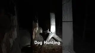 #music #housemusic #foryou #subscribe #michigan #viral #hunting