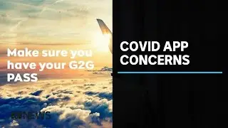 Data security questions over coronavirus Good to Go travel app | ABC News