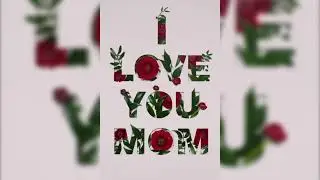GiftBird - Mother's Day Collection