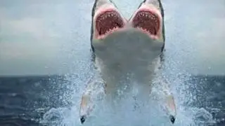 TWO HEADED SHARK!!