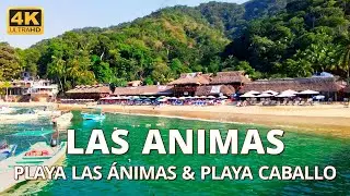 Playa Las Ánimas, Playa Caballo a Casitas Maraika/Walking tour two beaches south of Puerto Vallarta