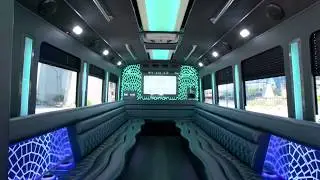 Platinum Party Bus - 20 Passenger Party Bus