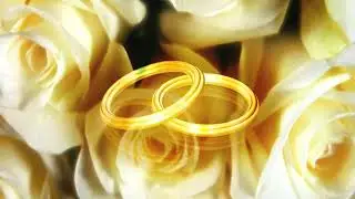 Wedding Rings, Flowers, Love, No Copyright, Copyright Free Video, Motion Graphics, Background Video