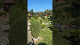 Relax in a Beautiful Flower Garden 🌸 | Peaceful Nature Shorts