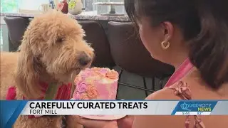 Latina-owned business wins over Charlotte four-legged friends