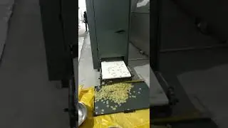 300 kg Khichiya Papad Making Machine | business idea, start profitable business papad making