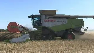 CLAAS LEXION 600 TERRA TRAC AND 40FT HEADER HARVESTING OILSEED RAPE