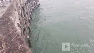 Imágenes de Los Pocitos e informe dela pesca HOY enla Bahia