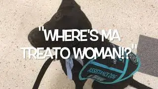 ASSiSTANCE DOG GOES TO THE SUPERMARKET || Public Access Vlog #1