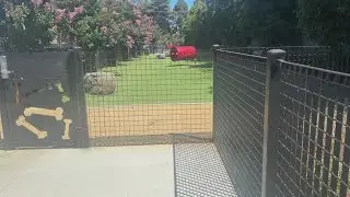 Santa Clara dog park closed after dog dies