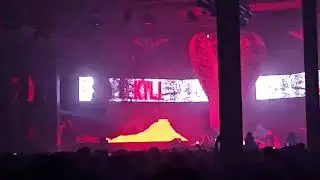 SNAKEPIT 2025 KILI LOCKED AND LOADED FULL SET