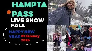 DELHI TO MANALI || Hamta Pass Live snow Fall || ⛄️ 01st January 2026 || Happy new Year 🥳 
