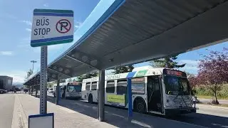 Anchorage bus routes skipped due to ongoing staff shortage