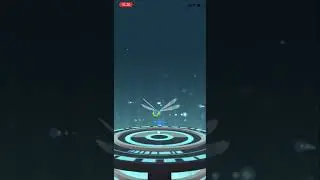 Pokemon Go | Evolve YANMEGA Shiny ✨✨✨🤔