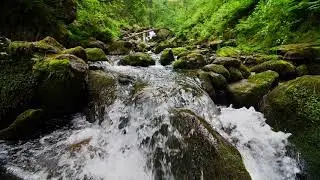 videoblocks the mountain stream flows downward with cascades hwvv0lpuw 1080  D