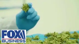 Tilray CEO aims to create THC products adjacent to alcohol