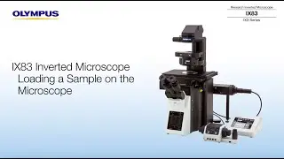 IX83 Inverted Microscope: Loading a Sample Slide on the Stage