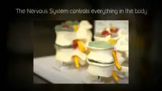 Natural Pain Relief - Hoffman Estates IL