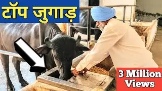 किसान ने लगाये ऐसे जुगाड़ सब हैरान |Automatic water bowl|Gobar gas plant Buy 7015994969