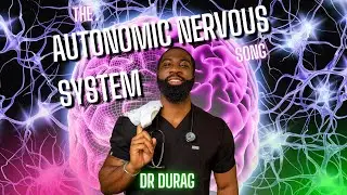 The Autonomic Nervous System x Dr Durag