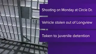 2 children arrested after Gilmer home hit with gunfire, police chase in stolen car