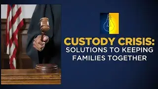 Custody Crisis: Solutions to keeping families together | Solutionaries