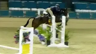 Secret Beautiful Hunter Jumper For Sale