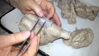 20121107 112923