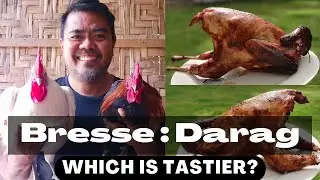 Bresse : Darag  Which is tastier?