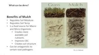 Webinar: Soil Management