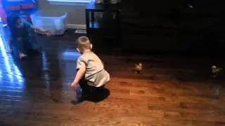 Barringer kids with chickens.