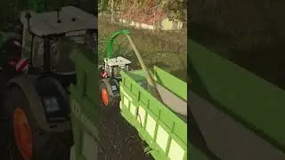 LS25 Mais - Zu Silage, lohnt das? #farmingsimulator25 #farming #ls25 #traktor #ls25 #traktor