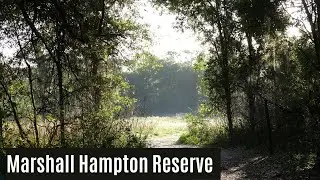 Marshall Hampton Reserve - Lakeland, FL