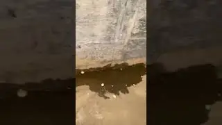 Water Is Leaking Into My Basement