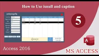 Access 5  -  How to Use isnull and caption
