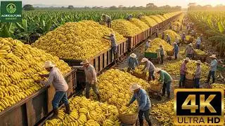 Maquinaria agrícola moderna de otro nivel: COMO los agricultores OBTIENEN cosechas masivas 2026