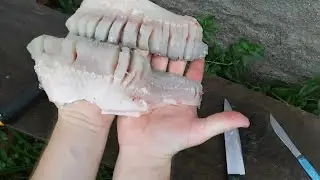 como fazer filé de carpa capim sem espinhas(pescando e limpando)