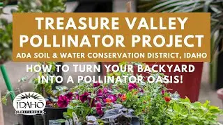 Treasure Valley Pollinator Project #idahopreferred #savethebees #idahoagriculture
