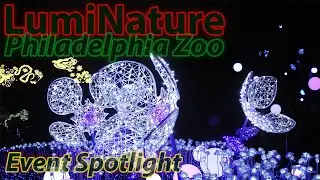 LumiNature at Philadelphia Zoo | Event Spotlight | November 2019