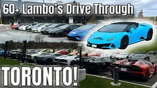 Более 60 Lamborghini покоряют живописные дороги | Суперкар-драйв и обед в гольф-клубе Торонто VLOG