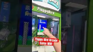 RARE Flappy Bird Arcade Game WIN! #shorts #arcade #arcadegame #arcadegames #flappybird